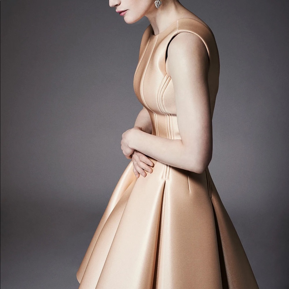 Zac Posen Resort 2015 Dress